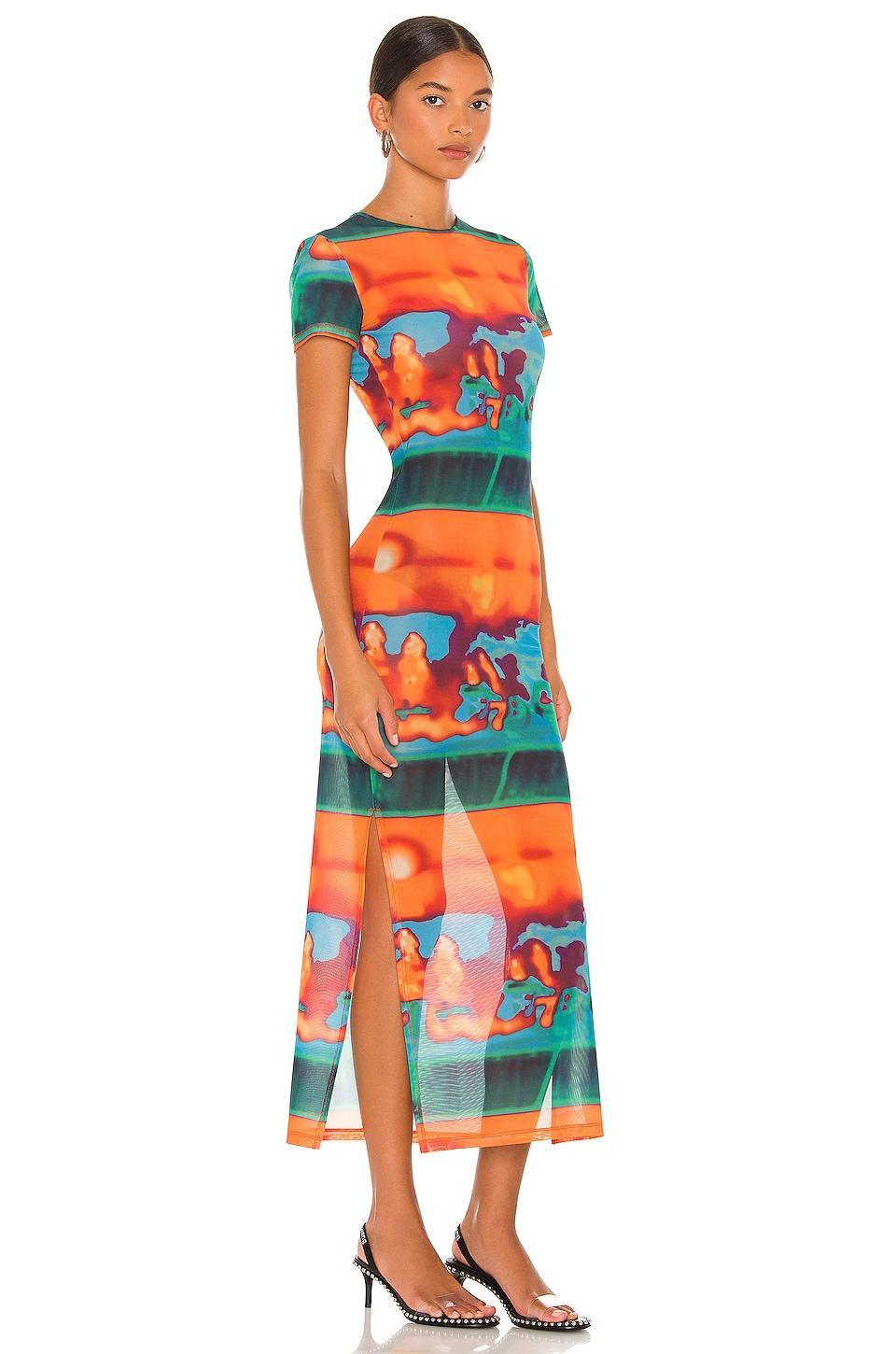 Billie Dress Miaou Product Image