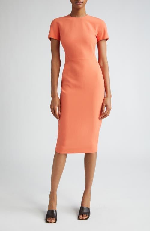 Fitted T-Shirt Sheath Dress Product Image