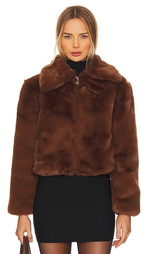 Steve Madden Juniper Coat (Nutmeg) Women's Clothing Product Image