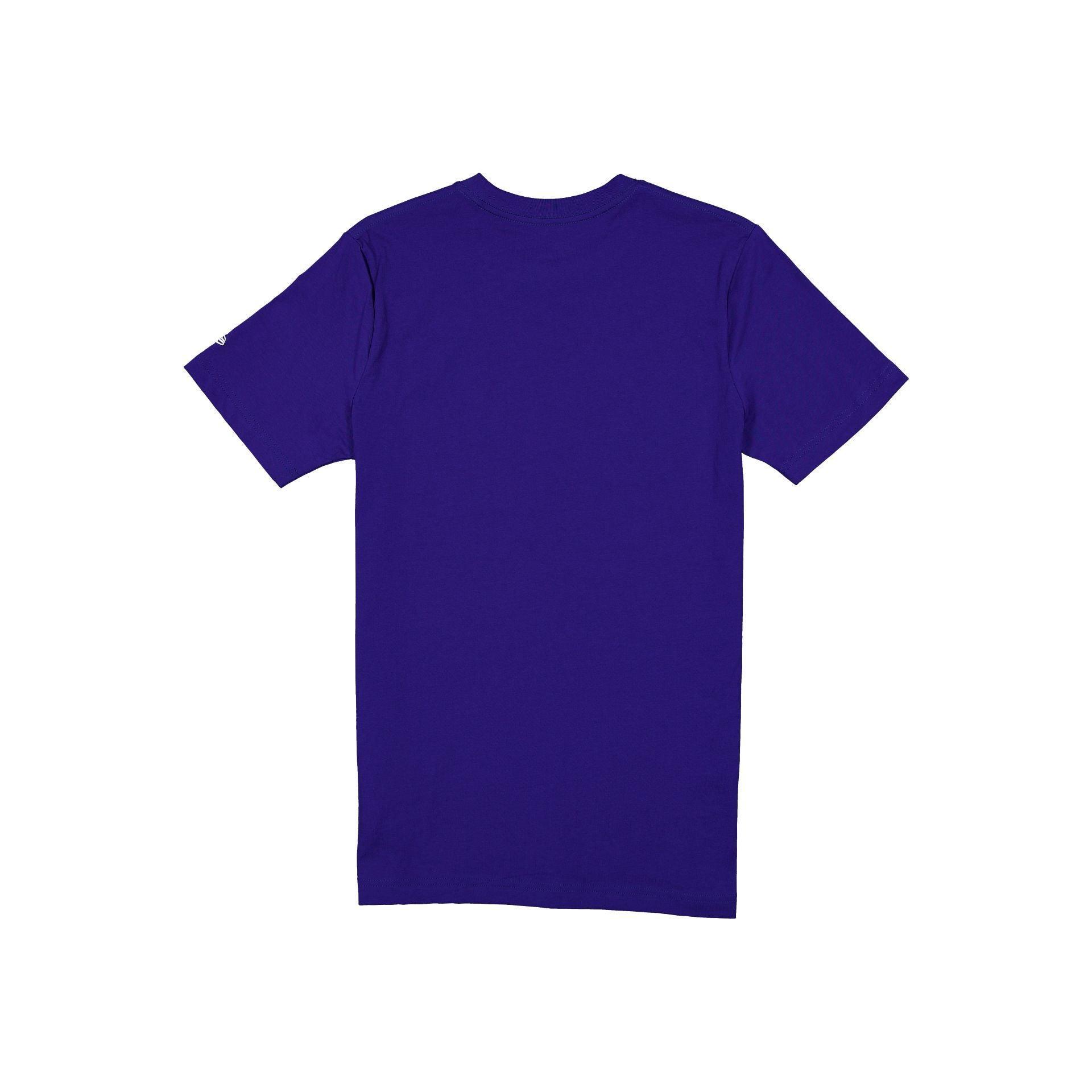 Texas Rangers 2025 Batting Practice T-Shirt Male Product Image