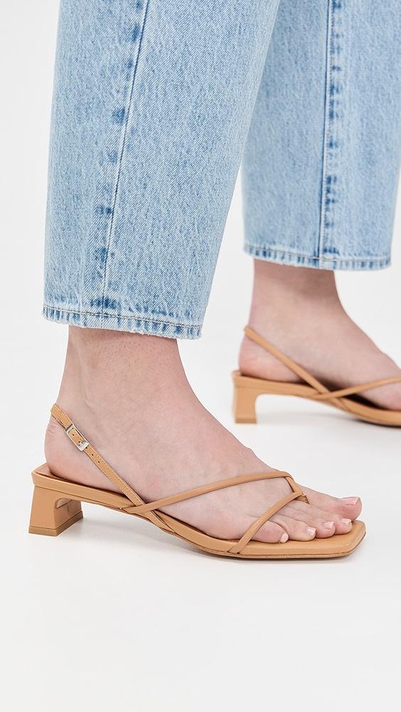 Intentionally Blank Fifi Sandals | Shopbop Product Image