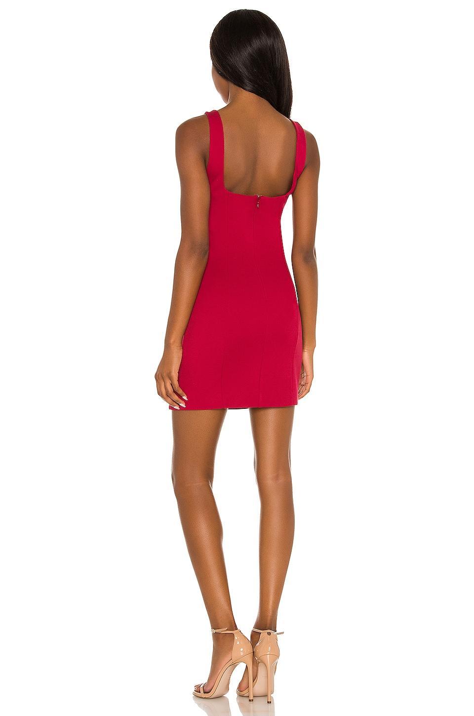 Draya Mini Dress Product Image