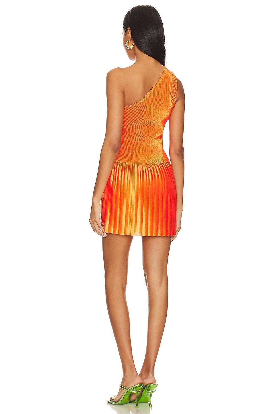 Ekta Mini Dress NBD Product Image