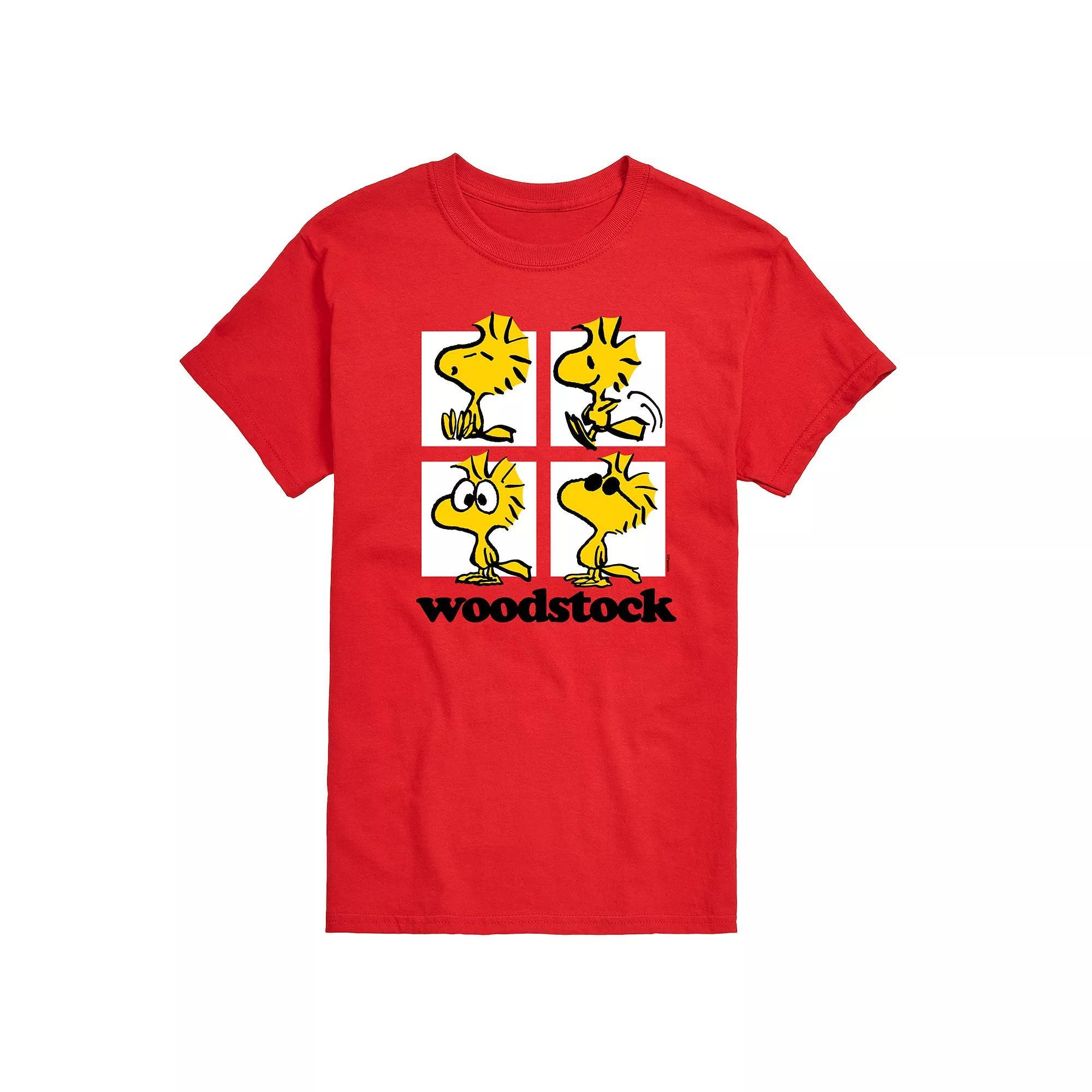 Mens Peanuts Woodstock Grid Graphic Tee Product Image