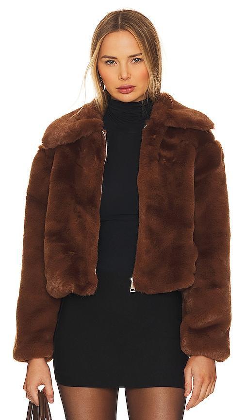 Steve Madden Juniper Coat (Nutmeg) Women's Clothing Product Image
