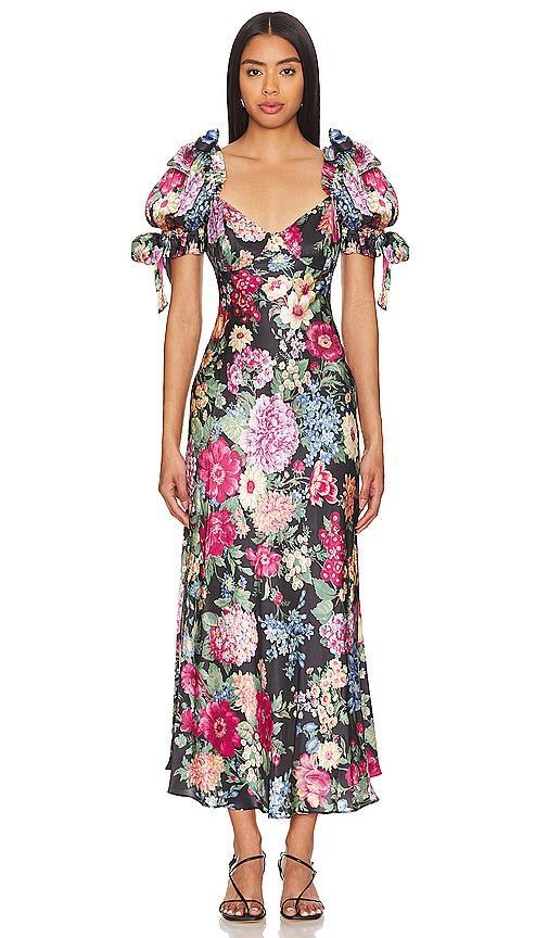 The Poet Slip Dress Selkie Product Image