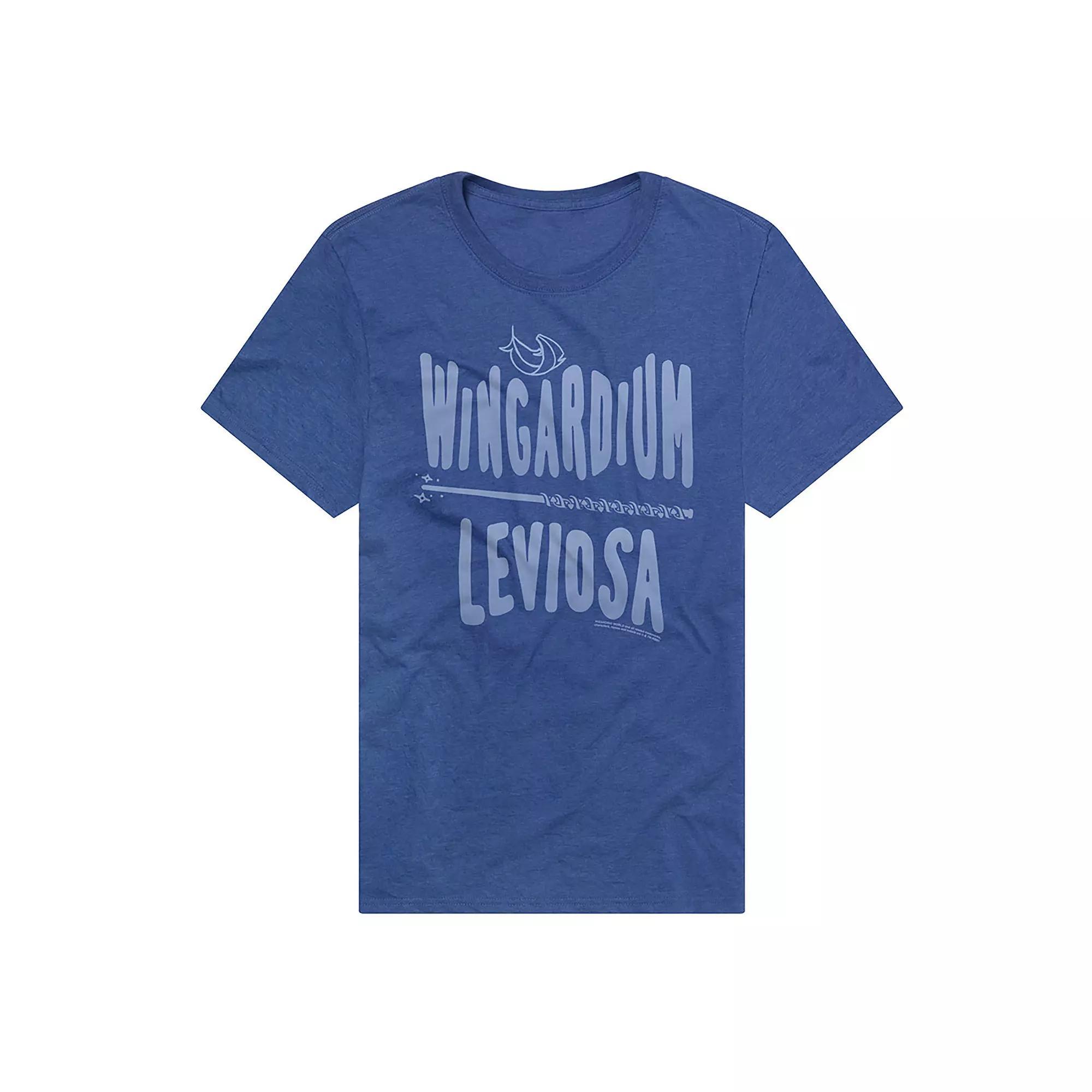 Men's Harry Potter Wingardium Leviosa Graphic Tee, Size: Medium, Royal Product Image