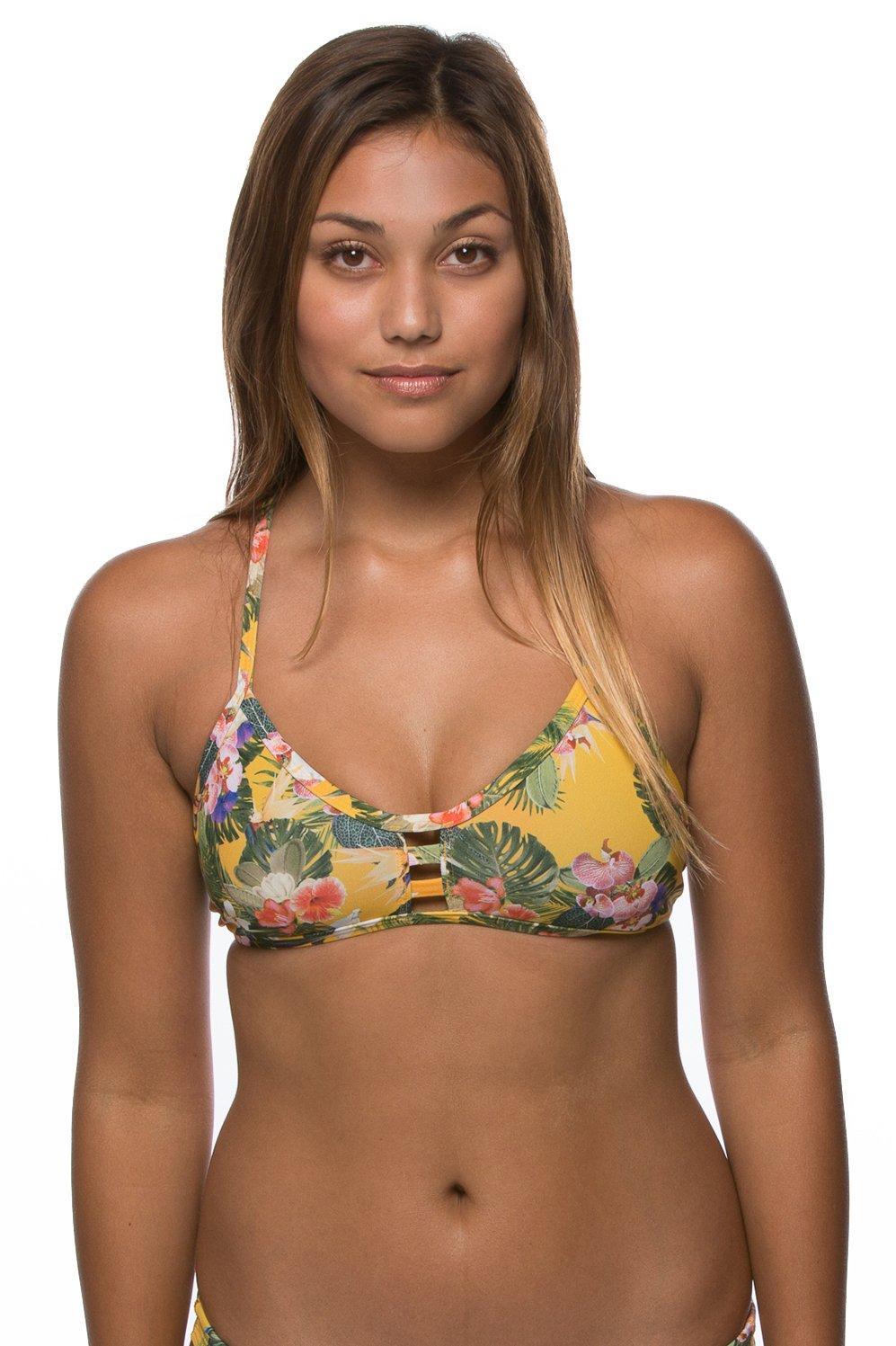 Tomcat Bikini Top - Prints Product Image