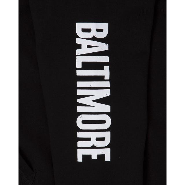 Baltimore Orioles City Connect Hoodie Male Product Image