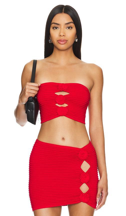 Lovers and Friends Ziona Tube Top in Red Product Image