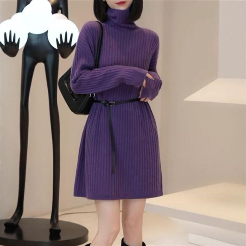 Long-Sleeve Turtleneck Plain Ribbed Mini Knit Dress Product Image