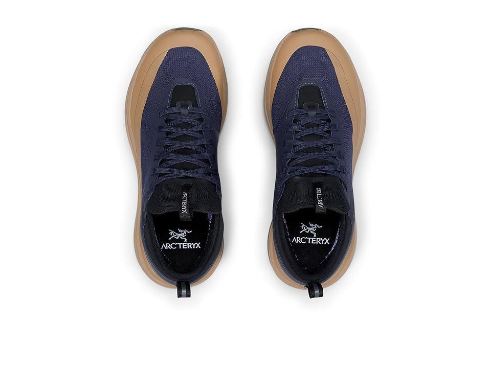 Arc'teryx Sylan GTX Black) Women's Shoes Product Image