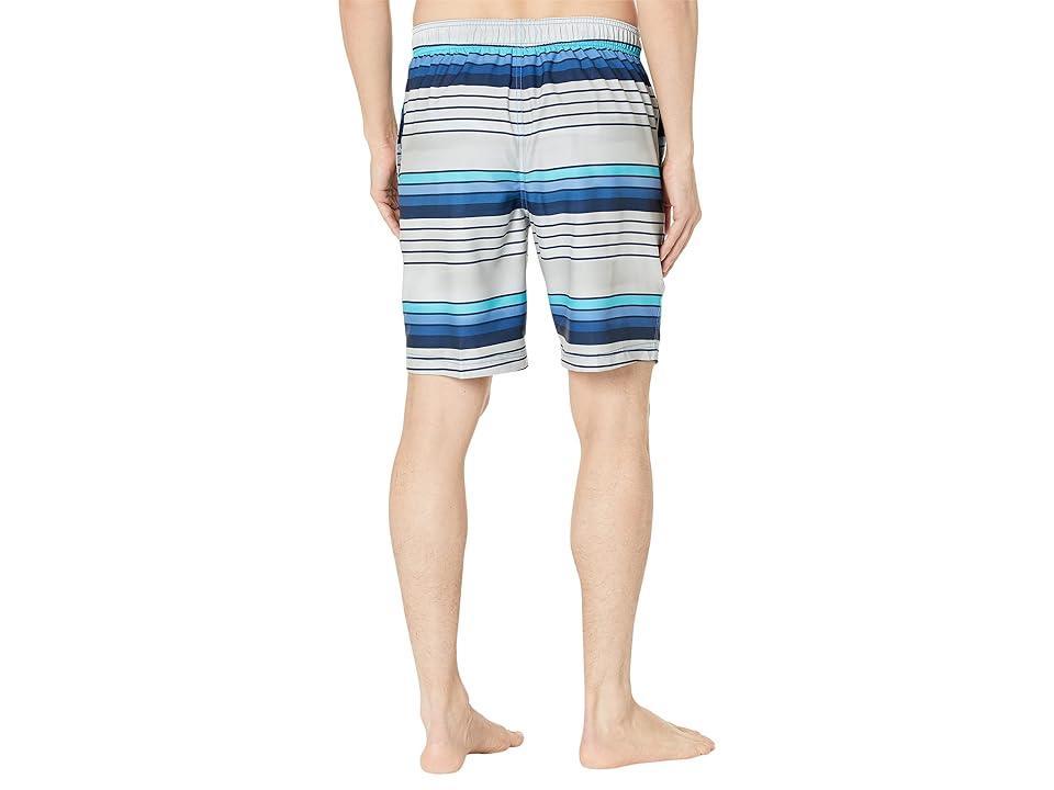 Speedo Thruway Stripe Bondi 20 Boardshorts (Grey) Men's Swimwear Product Image