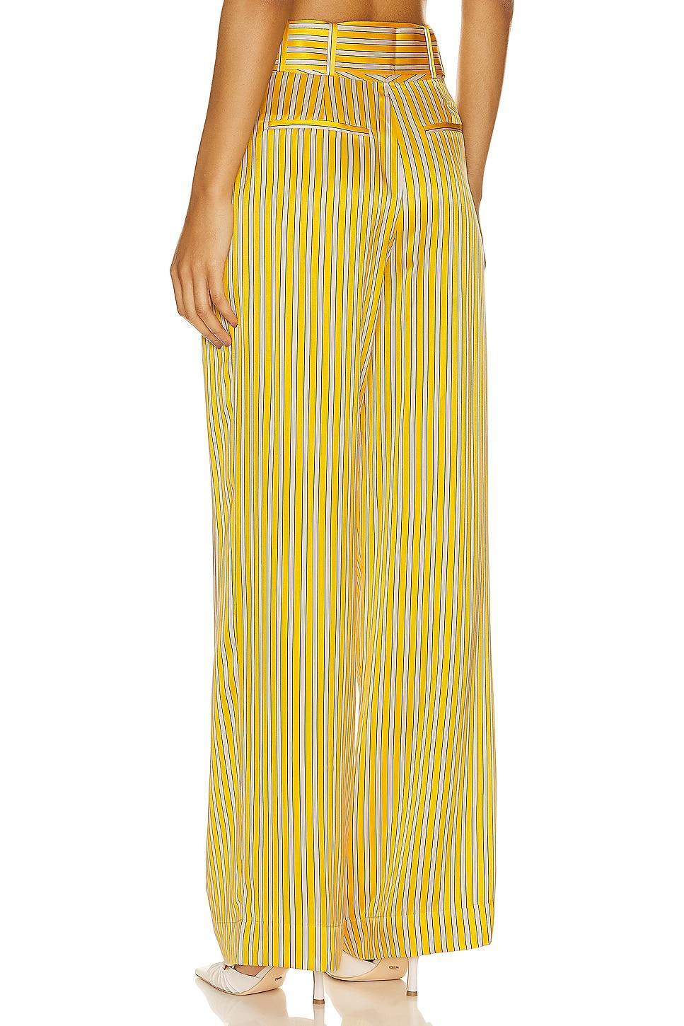 Armand Trouser Equipment Product Image