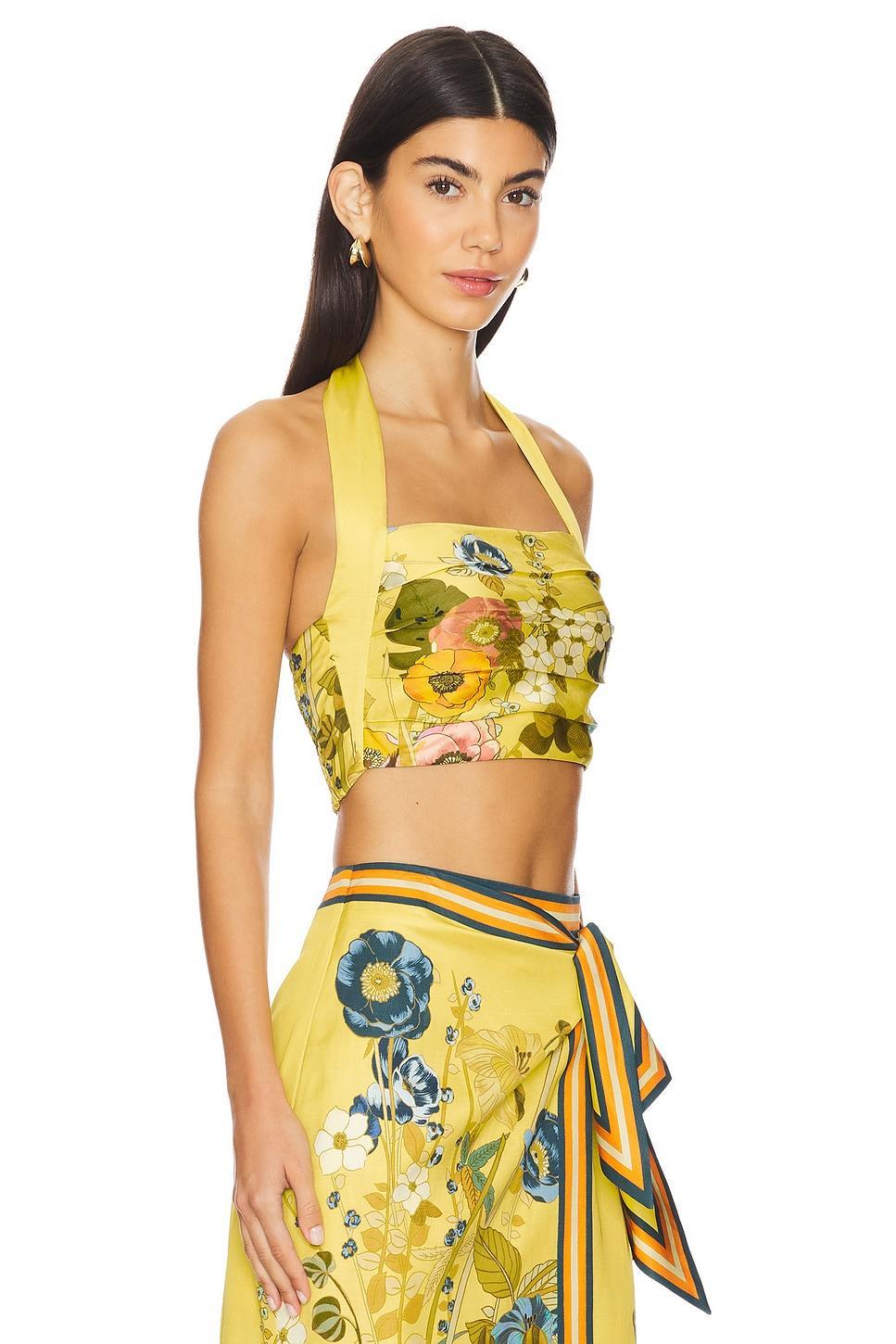 Cresida Crop Top Alemais Product Image
