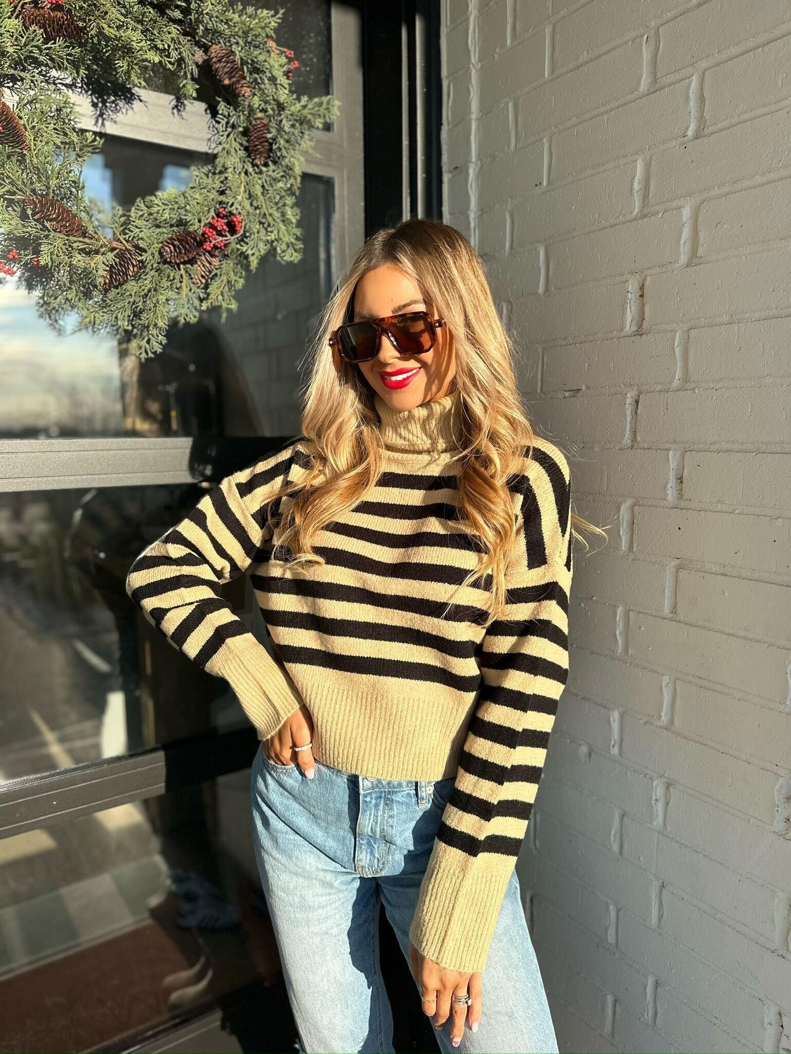 Beige and Black Striped Turtleneck Sweater-FINAL SALE Female Product Image