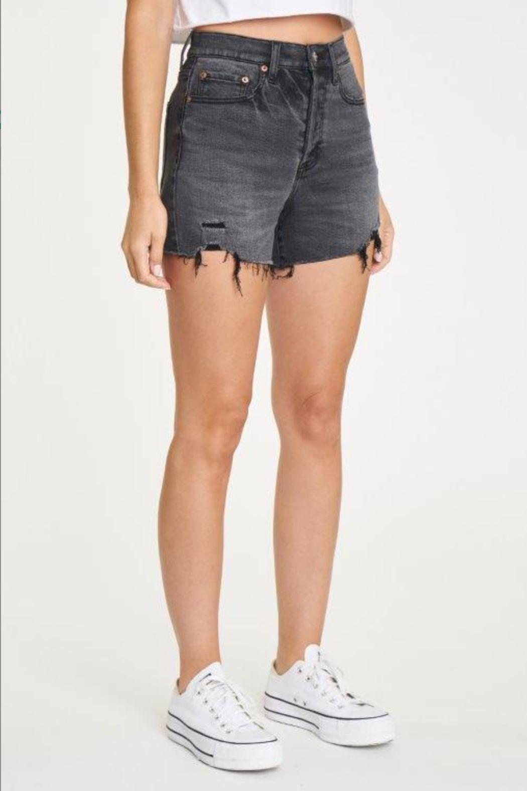 Bottom Line High Rise Vintage Shorts Product Image