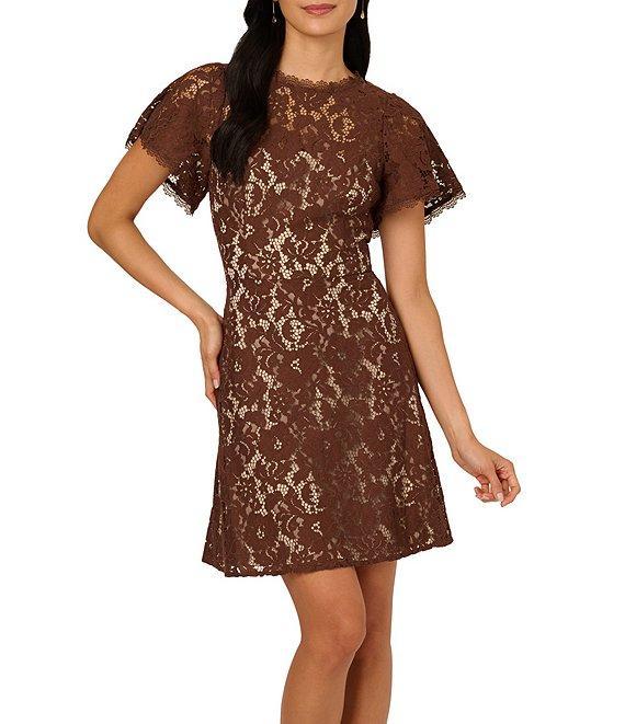 Adrianna Papell Illusion Crew Neck Flutter Sleeve Lace Shift Dress Product Image