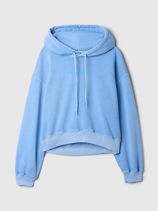 VintageSoft Arch Logo Cropped Hoodie Product Image