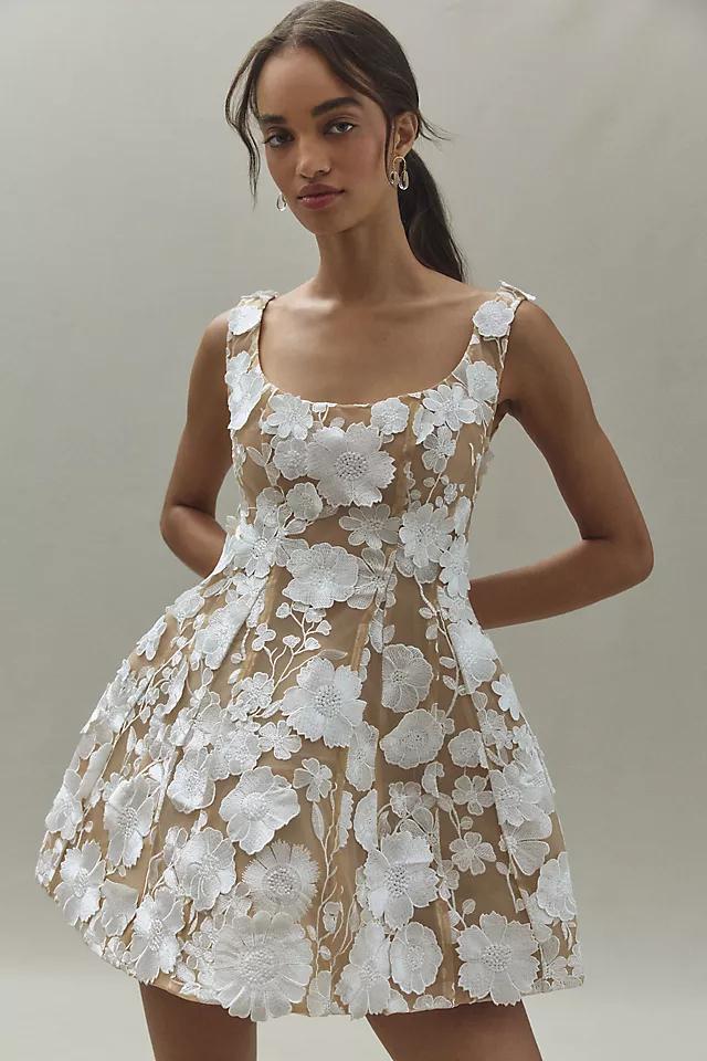 Bronx and Banco Jasmine Scoop-Neck Fit & Flare Mesh Floral Mini Dress Product Image