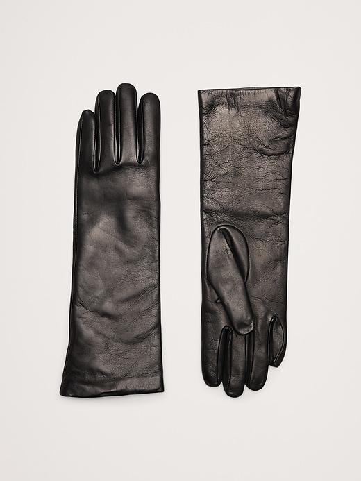 Cashmere-Lined Long Leather Gloves Product Image