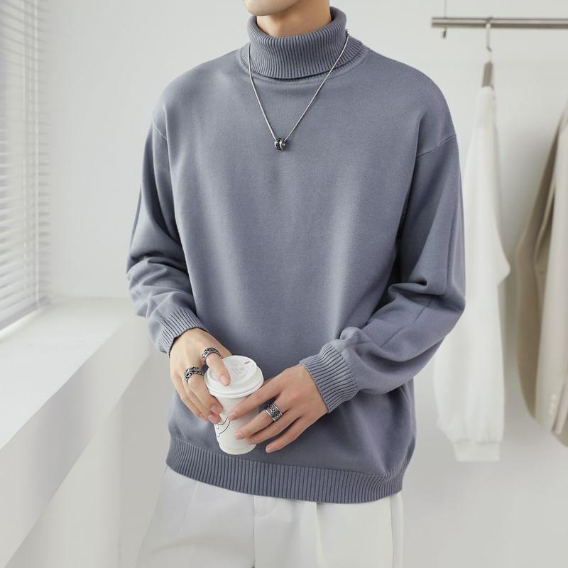 Long-Sleeve Turtleneck Knit Top Product Image