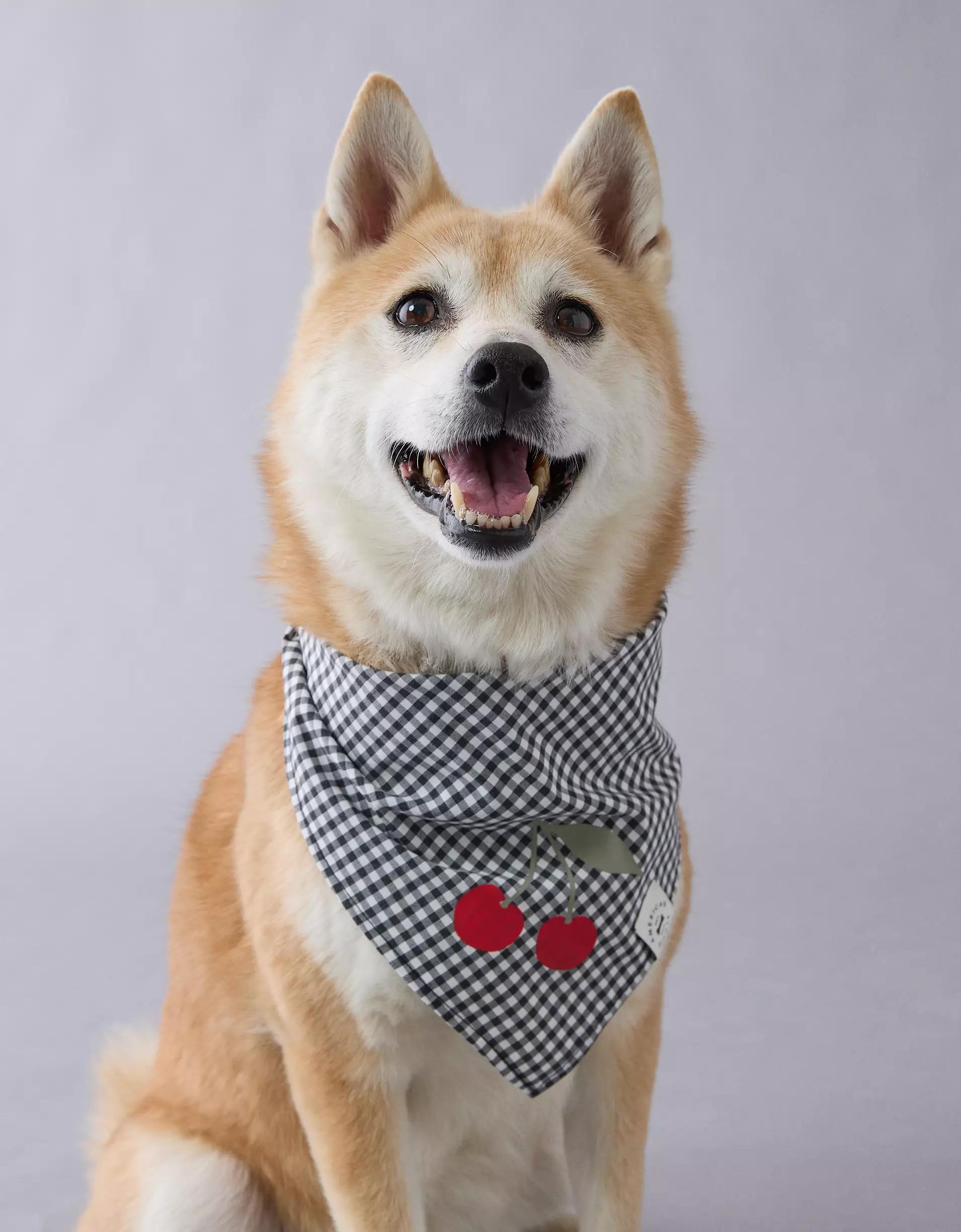 ABO Gingham Cherry Dog Bandana Product Image