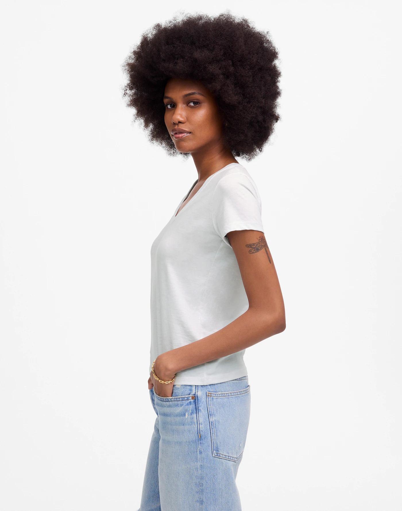 Slub Perfect V-Neck Tee Product Image