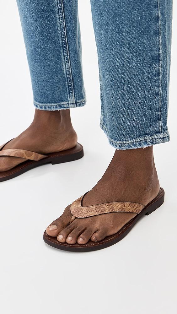 Coach Brianna Flip Flops | Shopbop Product Image
