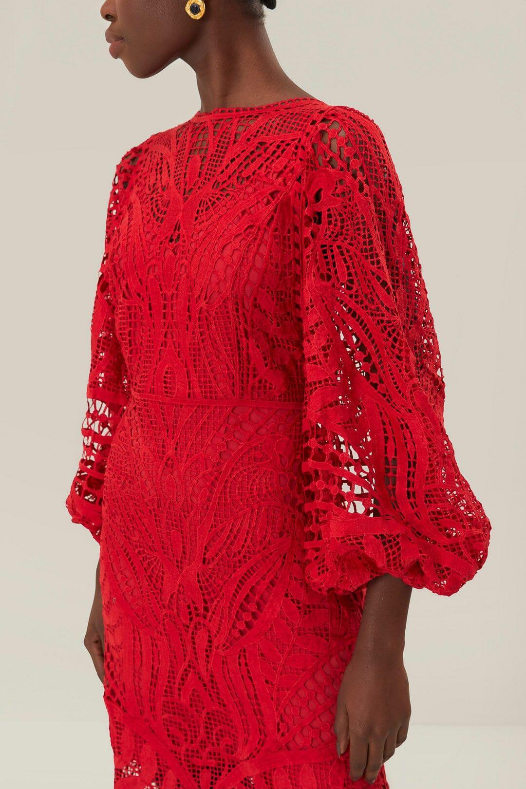 Red Nature Guipure Midi Dress, RED / XXS Product Image