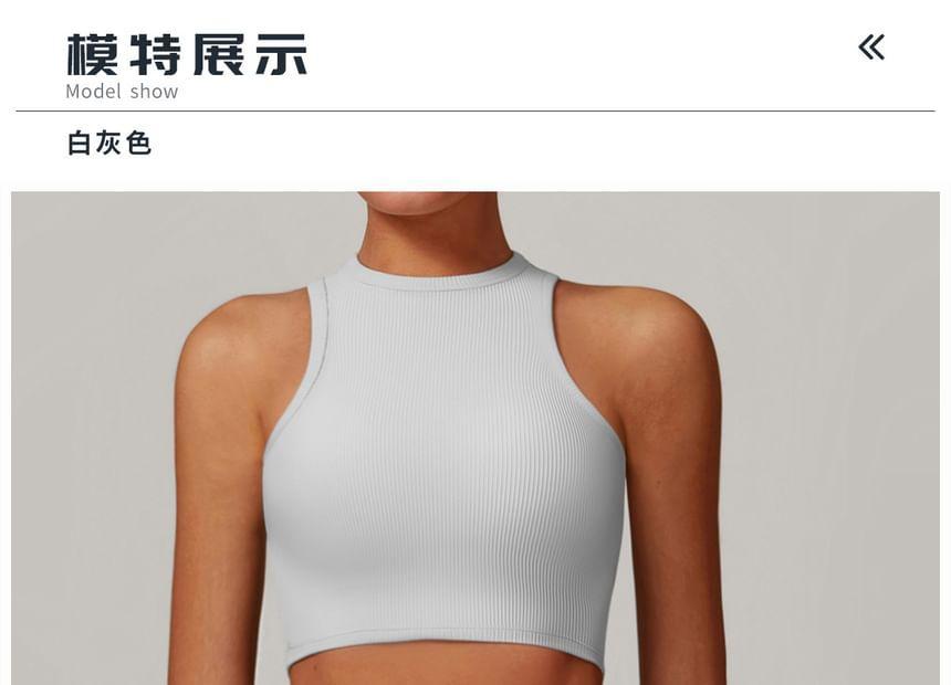 Crew Neck Plain Sports Bra Product Image