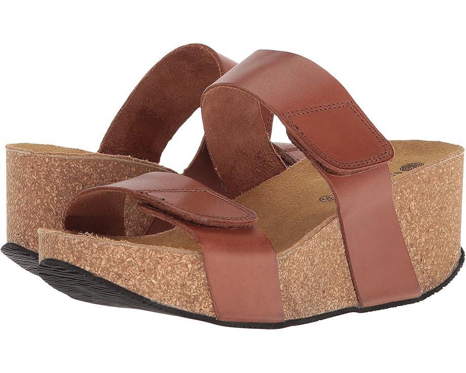 Lily 2 Product Image