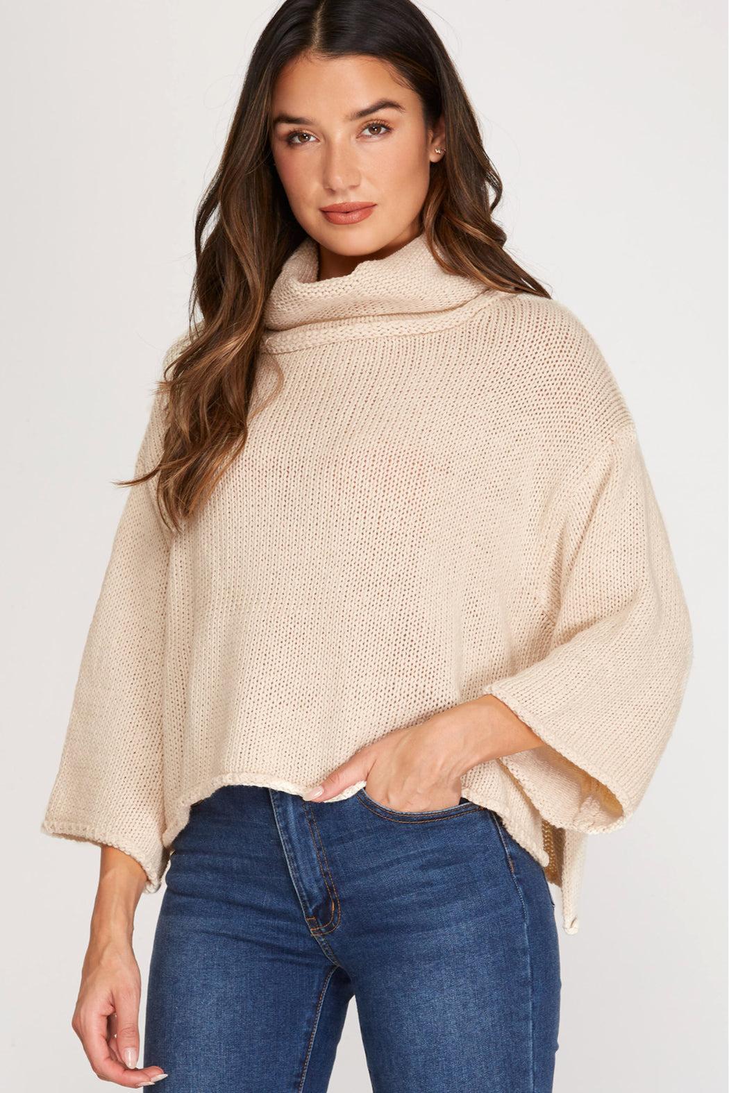 Turtleneck Knit Sweater Product Image