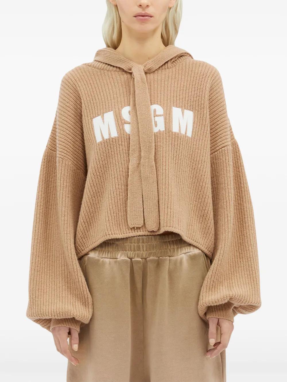 MSGM Logo-embroidered Hooded Jumper In Beige Product Image
