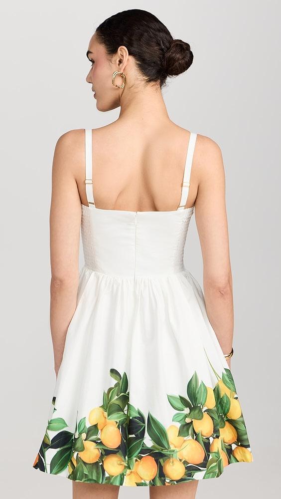 Amanda Uprichard Napoli Dress | Shopbop Product Image