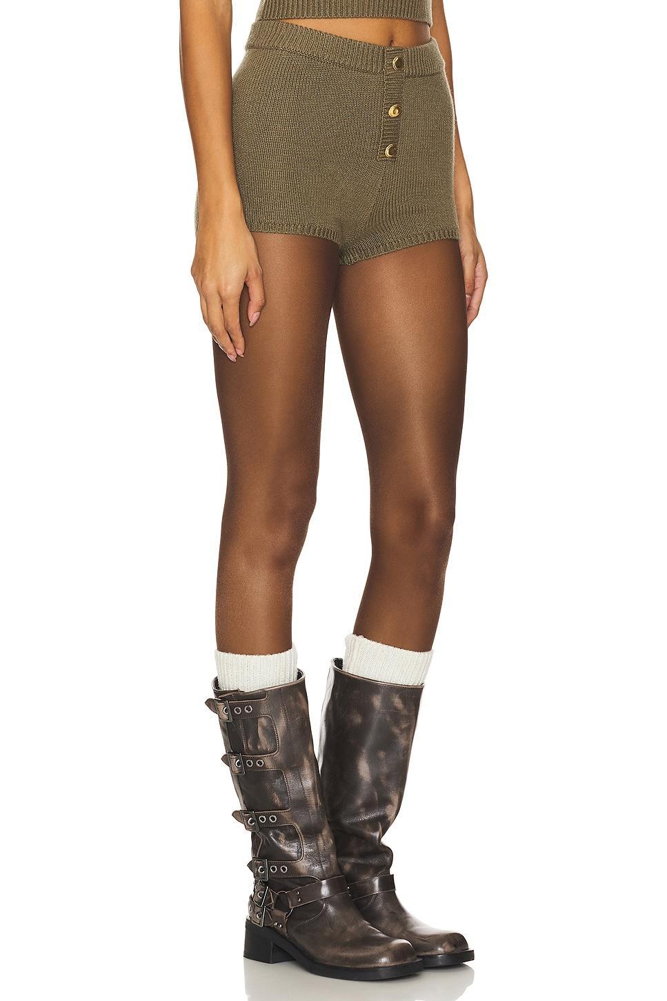 Ayden Shorts Lovers and Friends Product Image