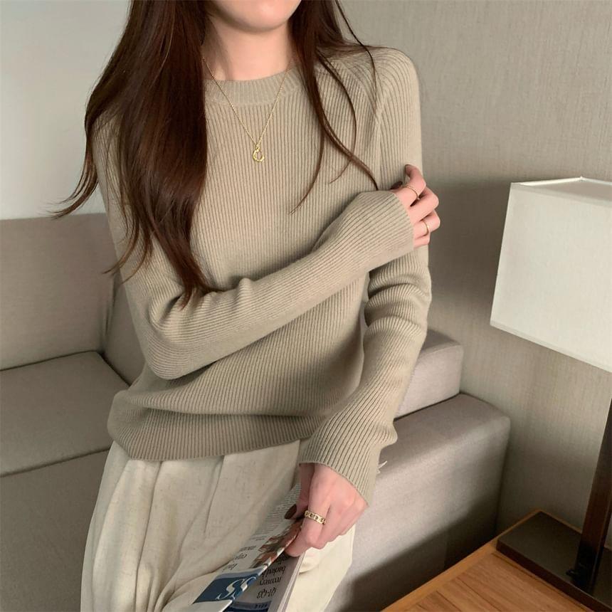 Crew Neck Plain Ribbed Knit Sweater Product Image