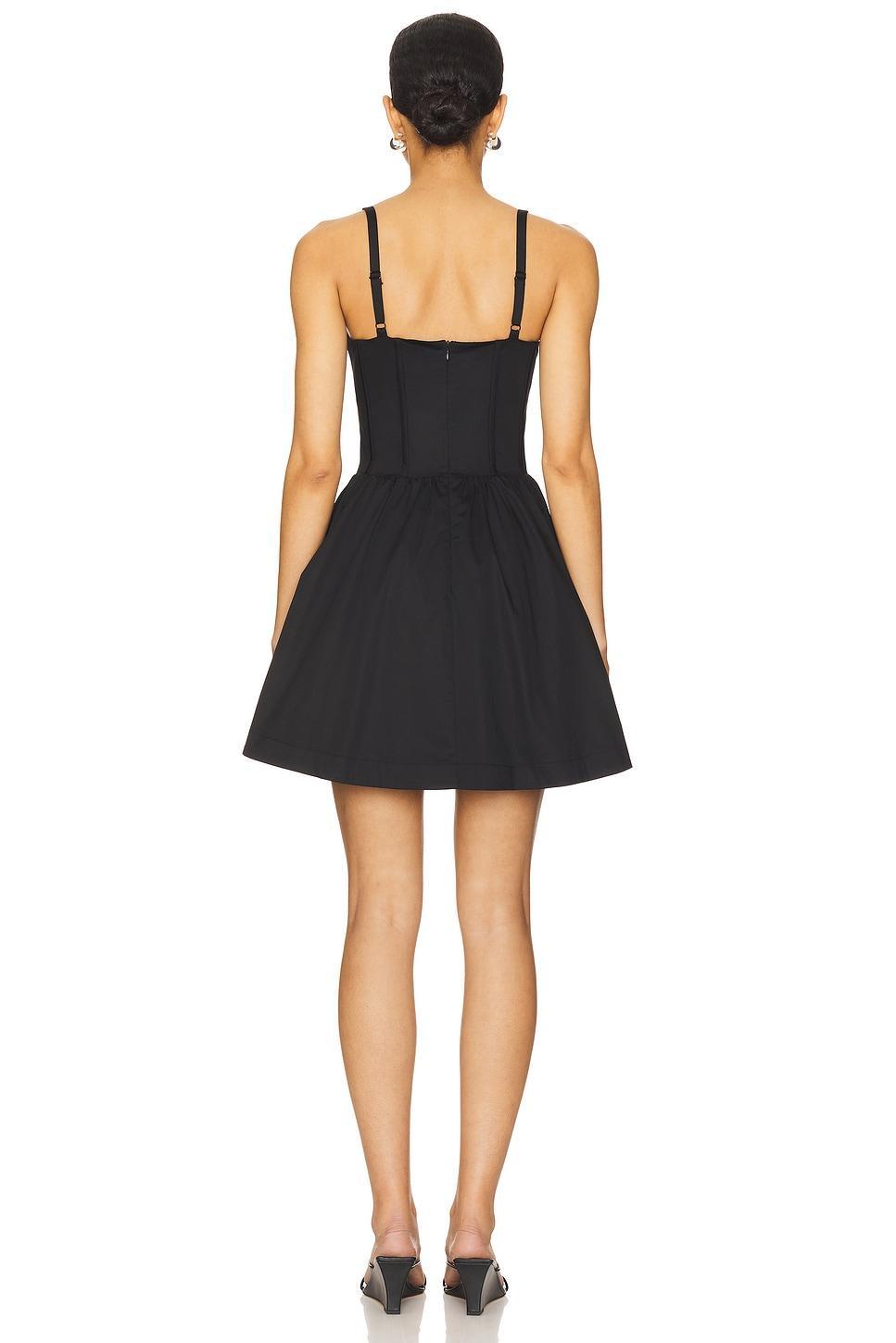 Rhoda Dress Steve Madden Product Image