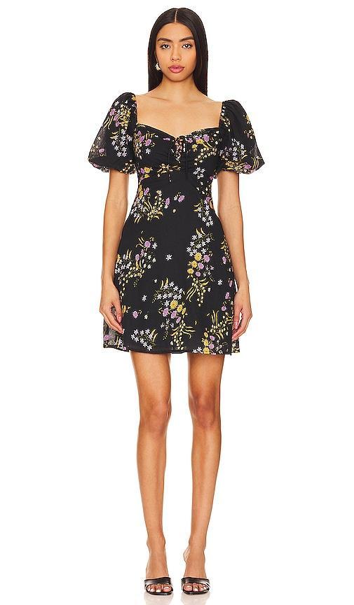 Violeta Dress Steve Madden Product Image
