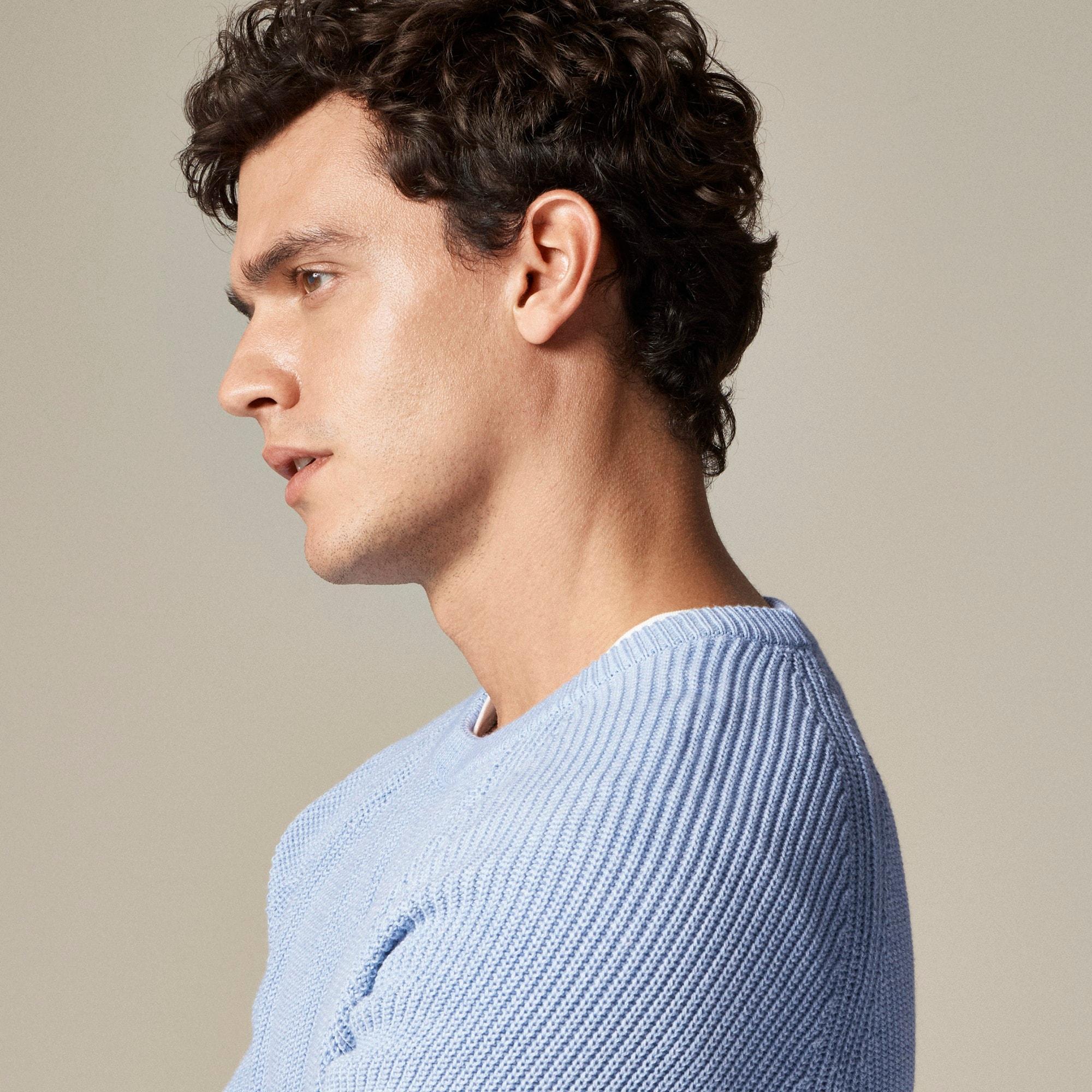Heritage cotton ribbed sweater Product Image