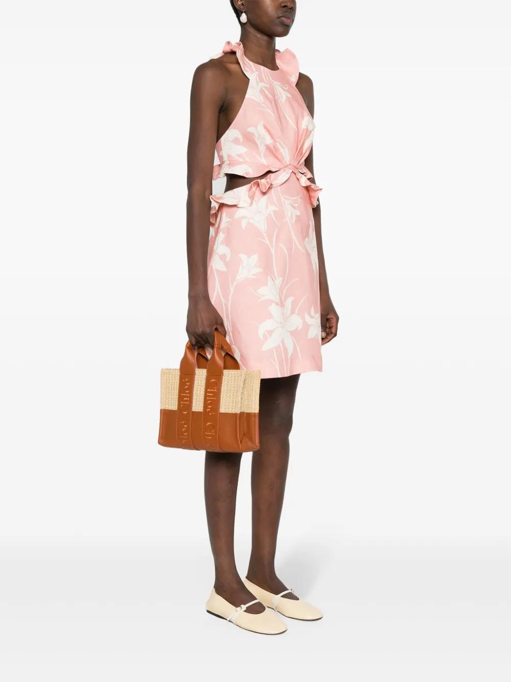 CHLOÉ Small Woody Tote Bag In Brown Product Image