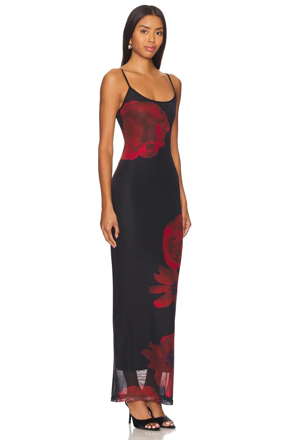 Jobelle Maxi Dress Product Image