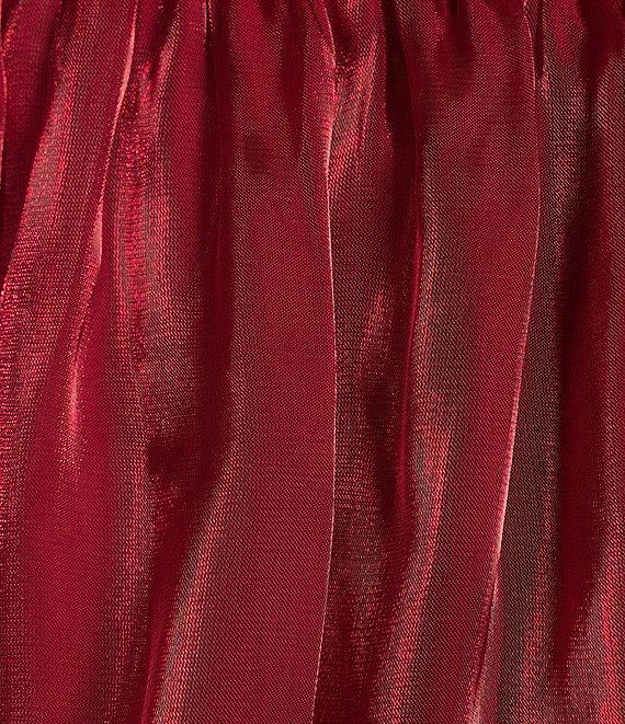Allison & Kelly 1/2 Sleeve Organza Fit & Flare Dress Product Image