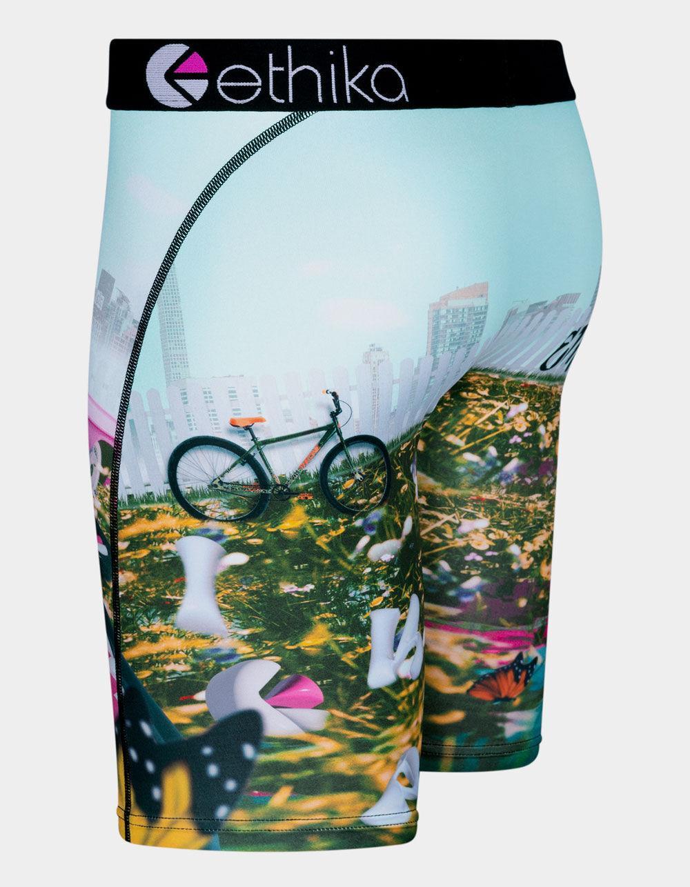 ETHIKA Bomber 3 Dreamin Staple Mens Boxer Briefs - MULTI Product Image