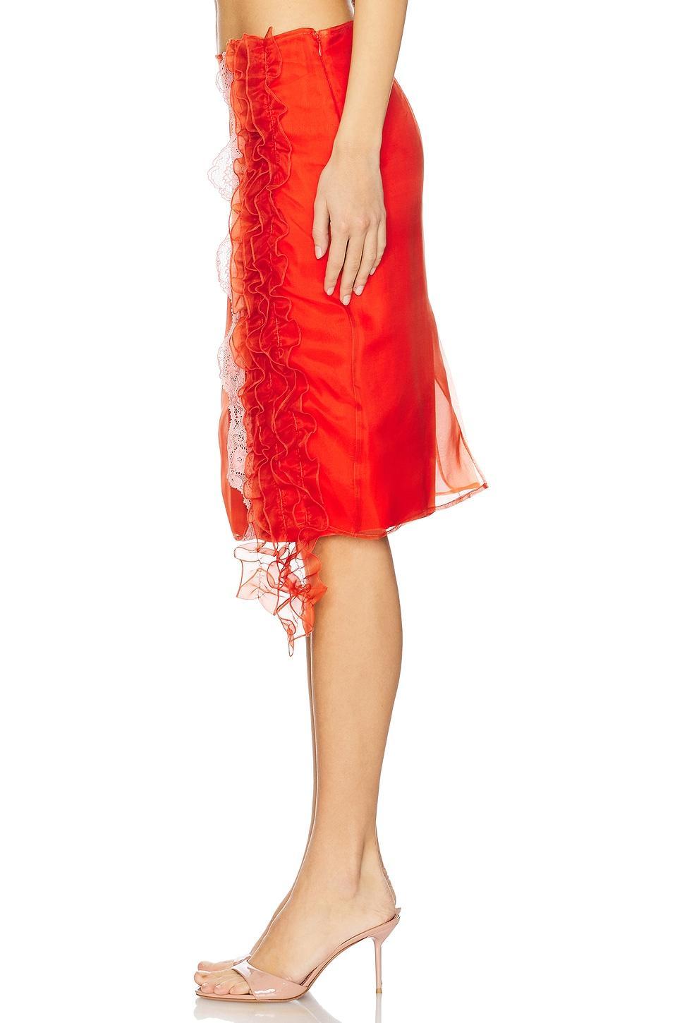 Skirt With Ruffles And Lace Detail Vaillant Product Image