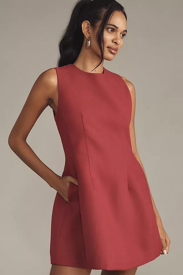 Endless Rose A-Line Mini Dress Product Image