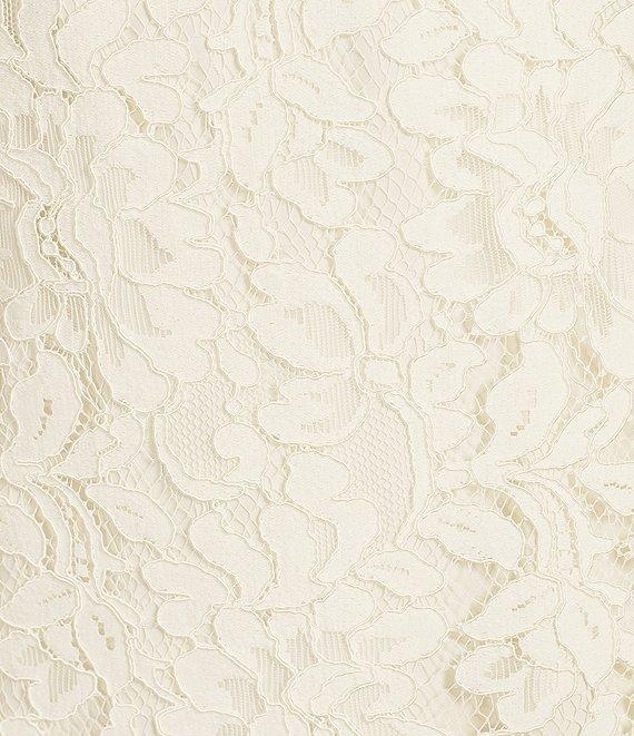 Vince Camuto Crew Neck 3/4 Sleeve Lace Illusion Shift Dress Product Image