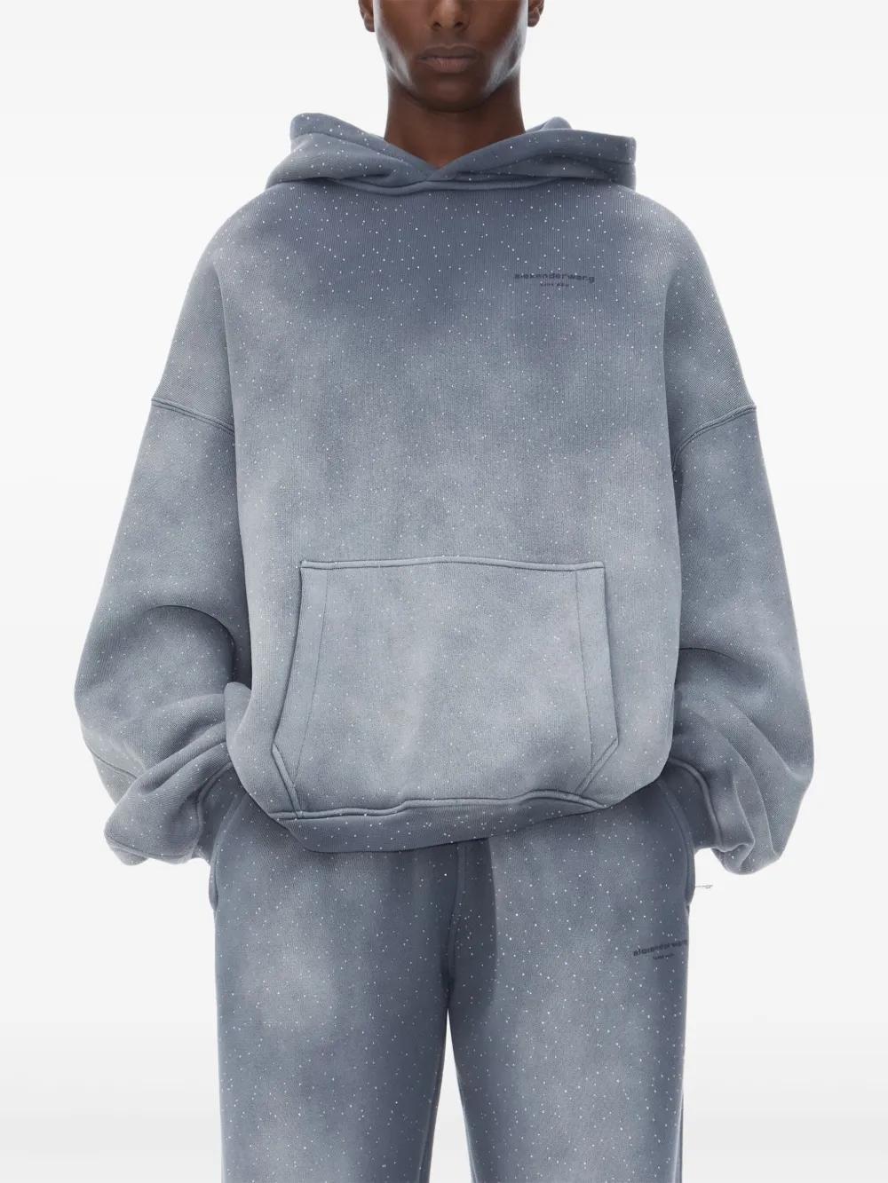 crystal hoodie Product Image