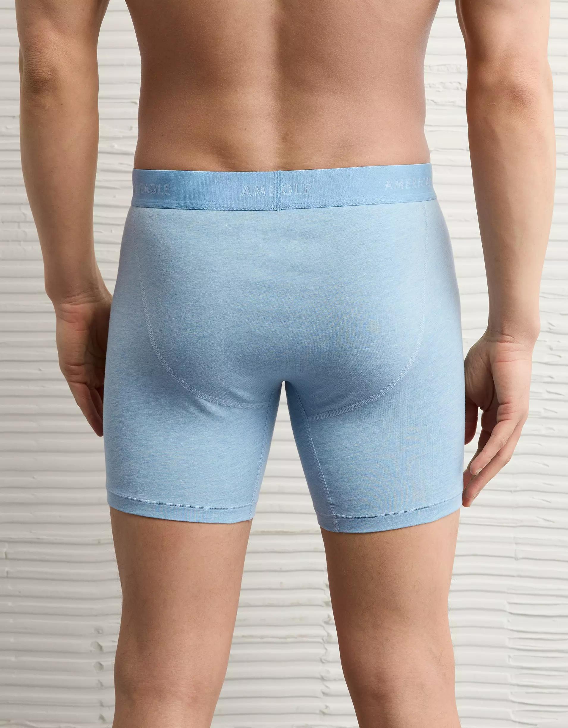AEO Men's Eggs 6" Classic Boxer Brief Product Image