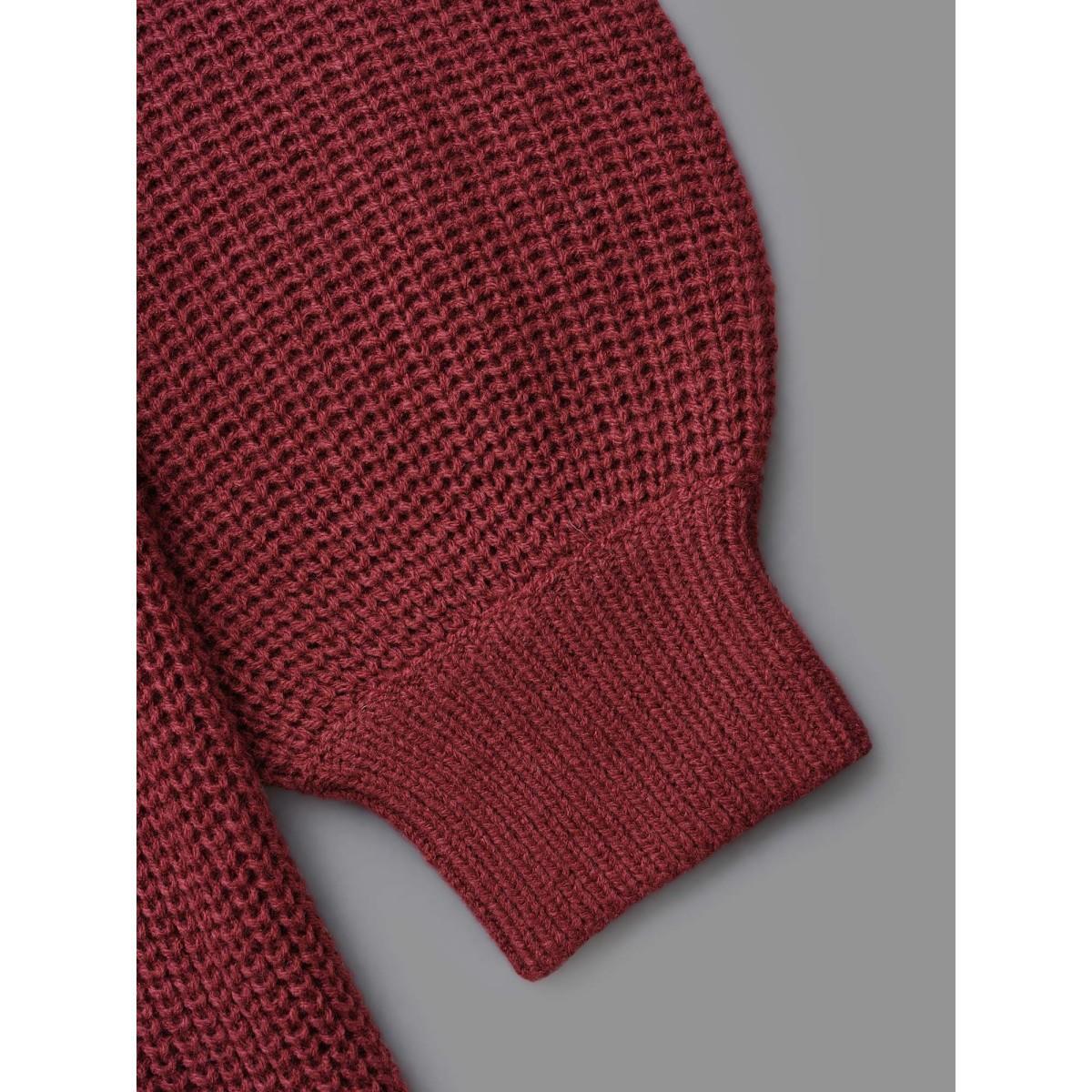 Plus Size V Neck Texture Cable Knit Pullover Burgundy Women Casual Bodycon Long Sleeve V-neck Everyday Pullovers BloomChic 10/M Product Image